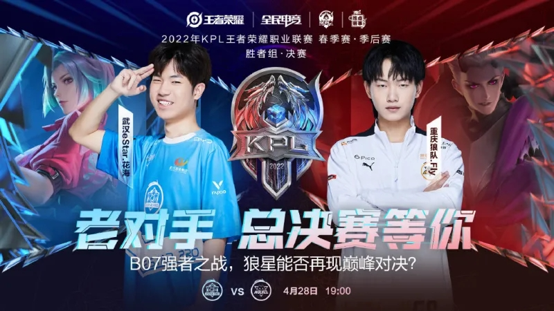 样性的提升 样性的提升